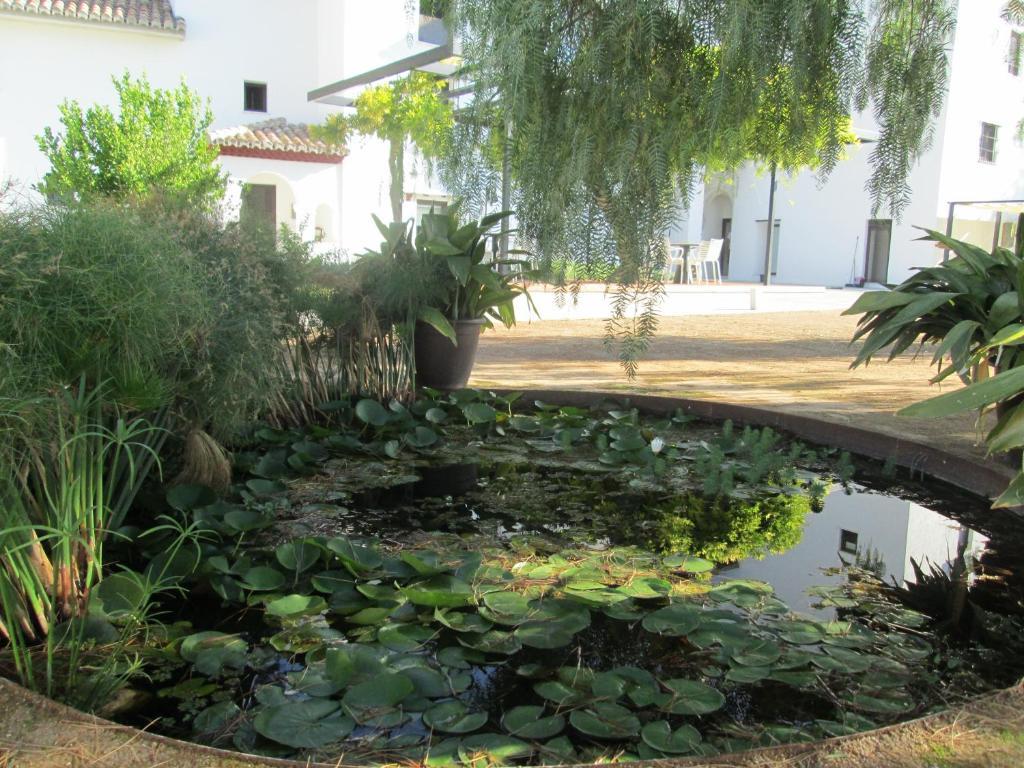 Finca La Marquesa Grenade Extérieur photo